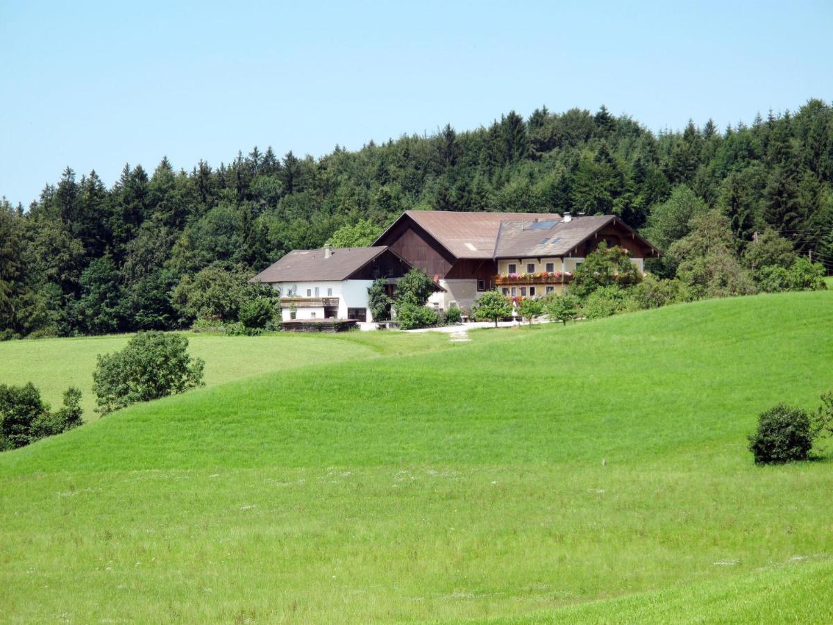 Apartment Bauernhof Vorderroid - Mon400 Oberhofen am Irrsee Zewnętrze zdjęcie